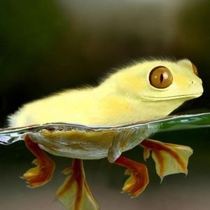 Meet your Posher, Izabella